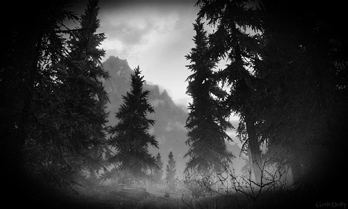 dark forest gif tumblr