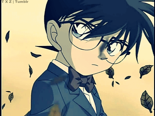 Case Closed (Detective Conan) - MaiOtaku Anime