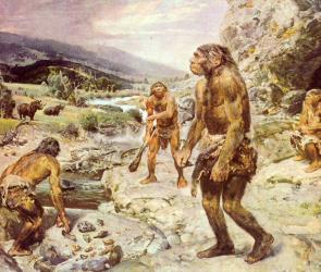 Modern humans and neanderthals