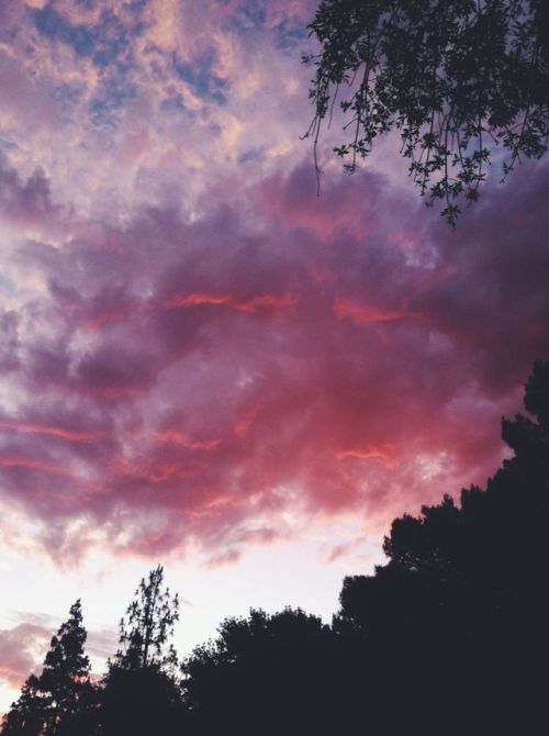 m-ellowed: the sky tonight was almost as pretty as you are 