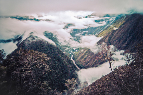 lostnaked: Alba by jiayi.wangit on Flickr. 