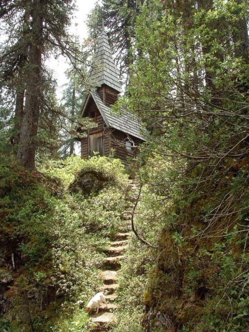 Opuszczony dom w lesie Tumblr_n8wwg9vFh21sltkhoo2_500