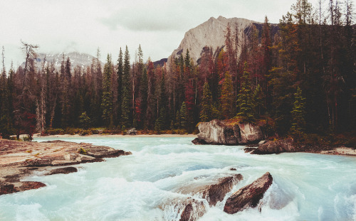 brutalgeneration: quick waters. (by theperplexingparadox) 