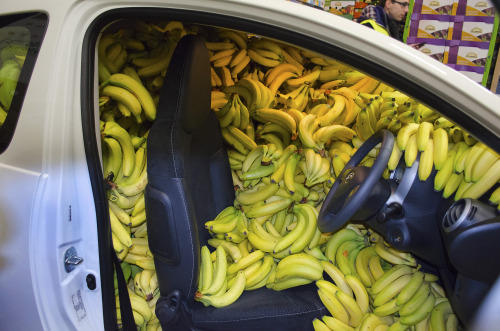  ur driving me bananas 