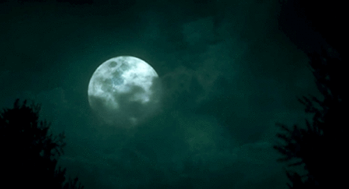 Intrigue N°1 - Moon & Danger [Slaine / Rebekah / Hayley / Elijah] Tumblr_n7ufrm2sud1tdy481o1_500