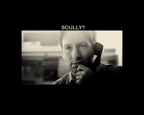 Chinga has some of the best Mulder/Scully phone moments.