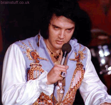 Fat Elvis Presley Pictures 71