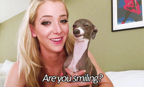 Italian Greyhound Smiling