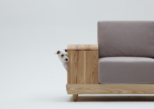 dog house sofa